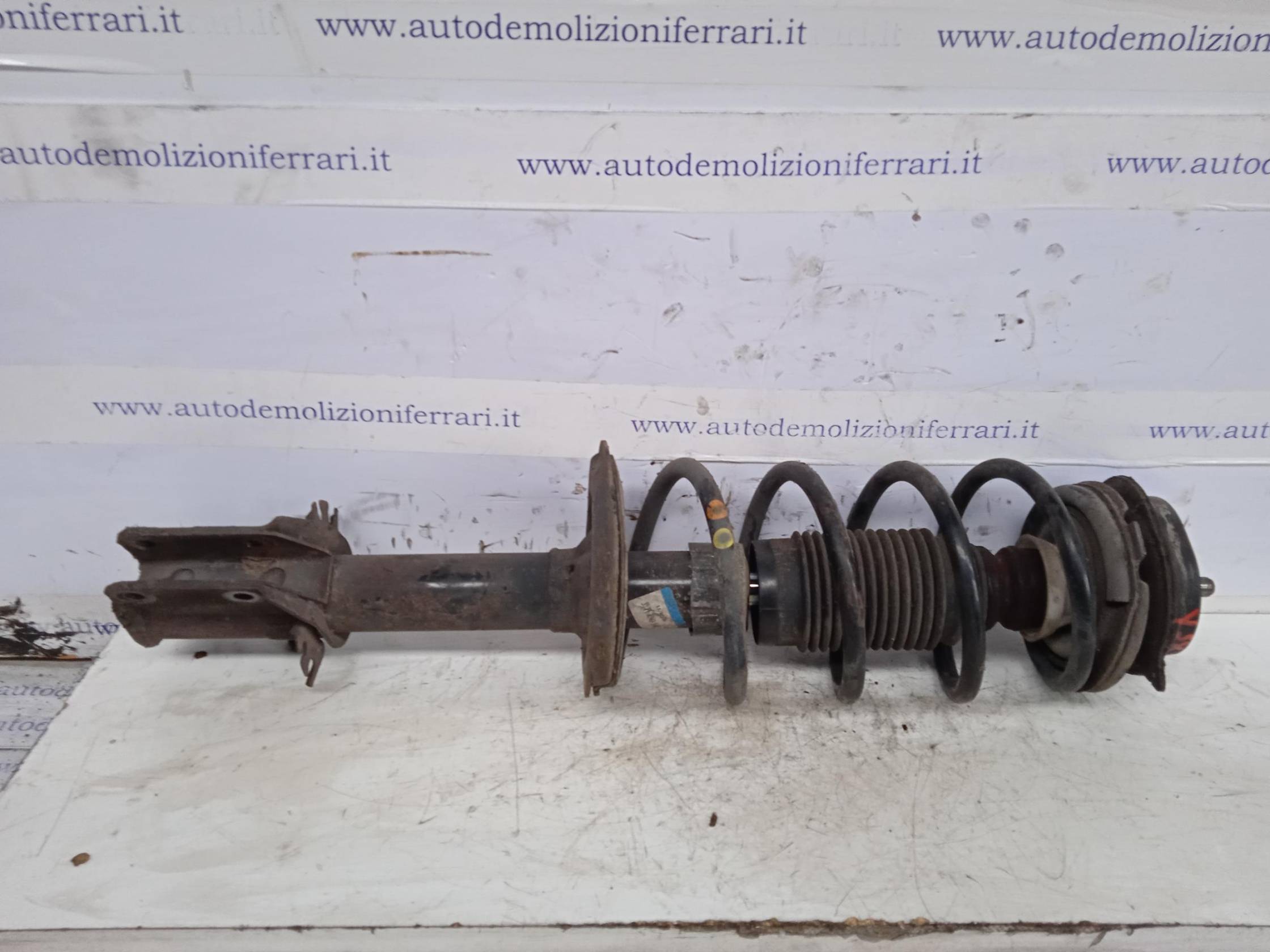 Ammortizzatore ant. sx.